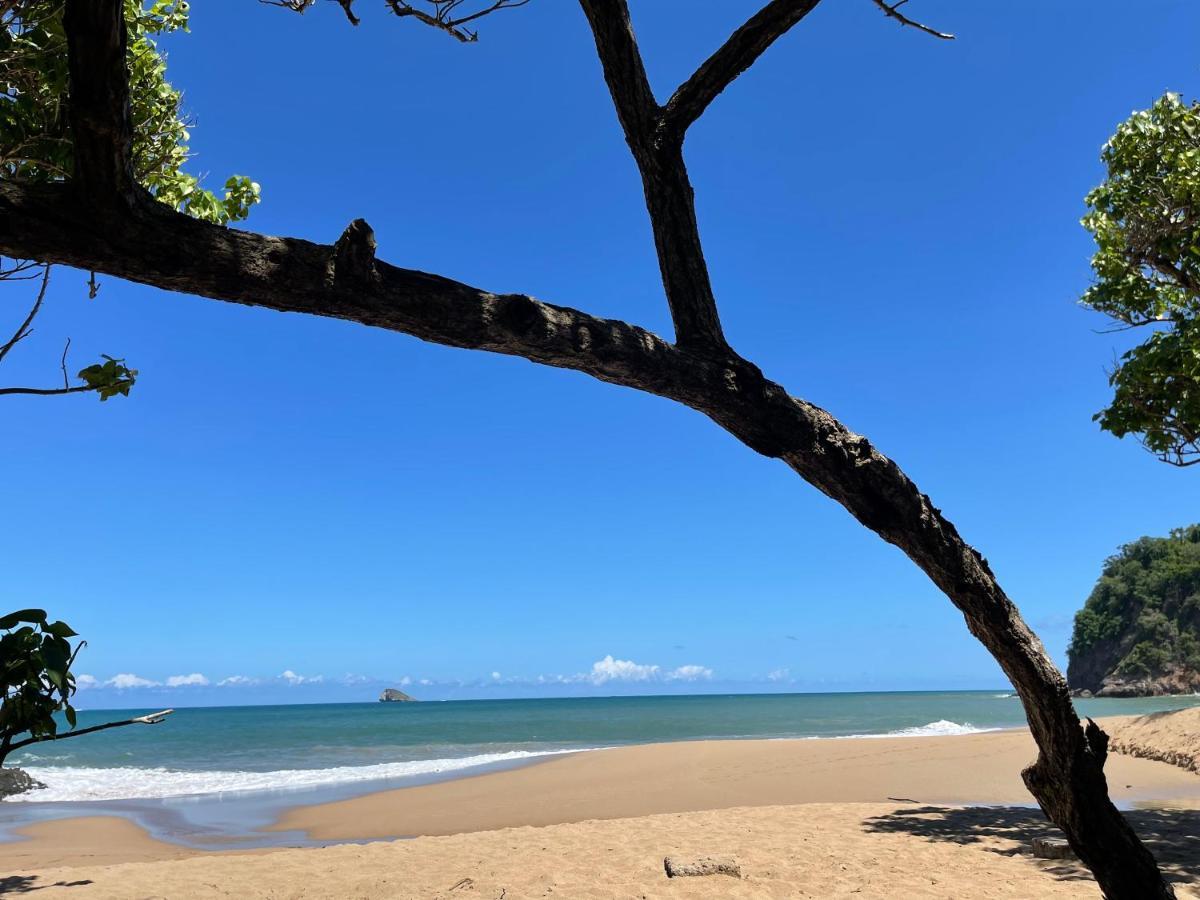 Cote Plage Saint-Francois  Bagian luar foto
